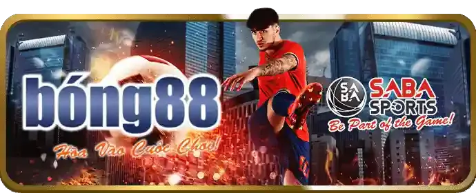 Đánh giá trải nghiệm đá gà thomo 88